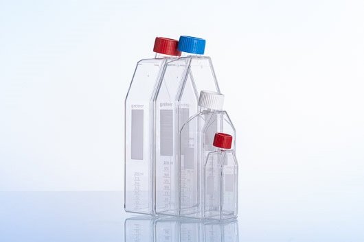 Standard Cell Culture Flask || Jain Biologicals Pvt Ltd India || Greiner Bio-one