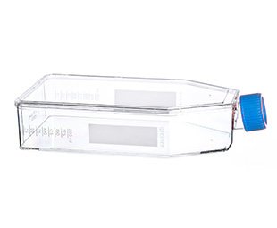 Advanced TC™ Filter Cap Cell Culture Flask|| Jain Biologicals Pvt Ltd India || Greiner Bio-one
