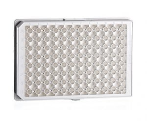 96 Well Cell Culture Half Area Microplates || Jain Biologicals Pvt Ltd India || Greiner Bio-one