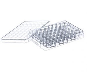 CELLSTAR® 48 Well Cell Culture Multiwell Plates for Suspension Culture|| Jain Biologicals Pvt Ltd India || Greiner Bio-one