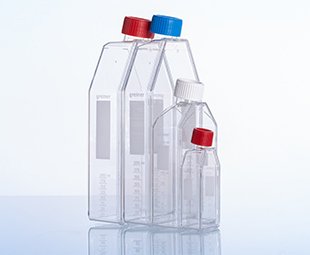 Advanced TC™ Filter Cap Cell Culture Flask|| Jain Biologicals Pvt Ltd India || Greiner Bio-one