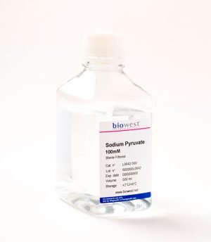 Sodium Pyruvate || Jain Biologicals Pvt Ltd India || Biowest